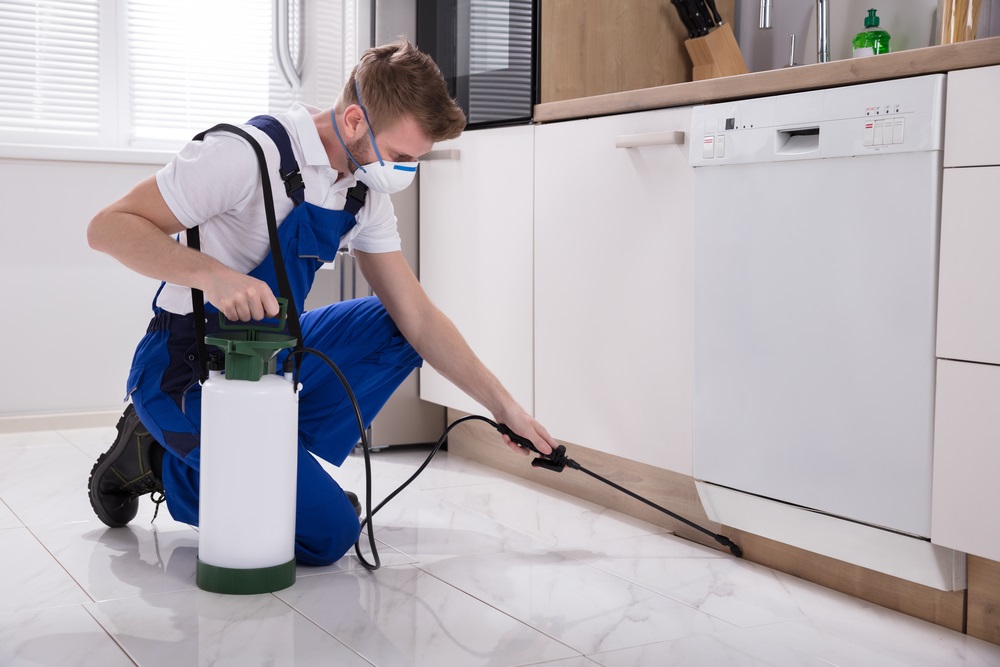 THINGS TO KNOW BEFORE TAKING PEST CONTROL SERVICES
