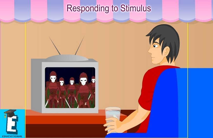 Responding To Stimuli