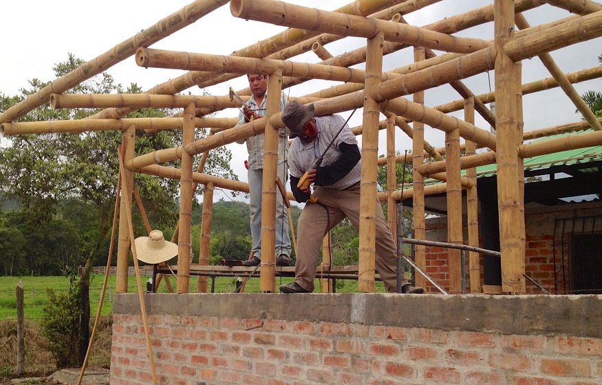 Advantages of Bamboo Building Products